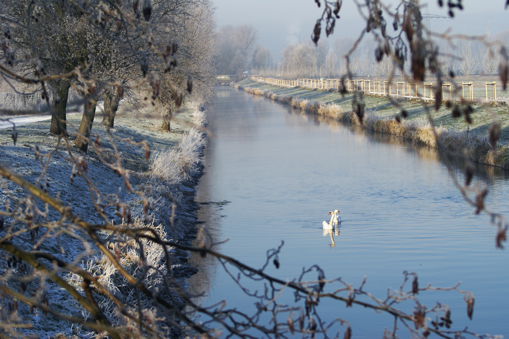 Niers Viersen Niederrhein