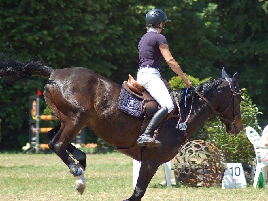 Wie das Gastgewerbe von Reitausflügen profitieren kann RFV Hubertusturnier Anrath-Neersen Foto: Martin Häming, Iris Kater Verlag