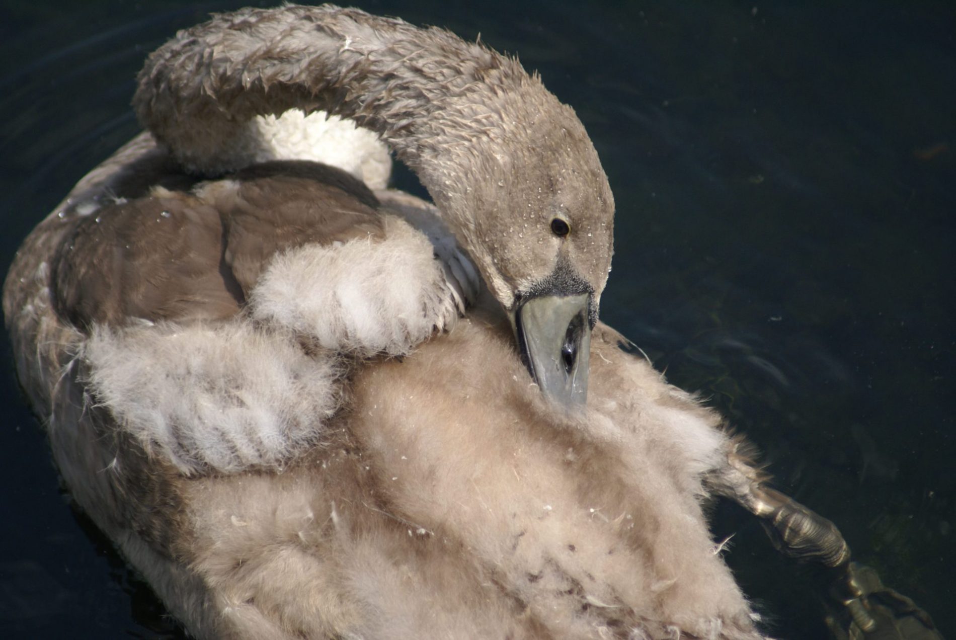 Bongartzmühle, Foto: Iris Kater Verlag