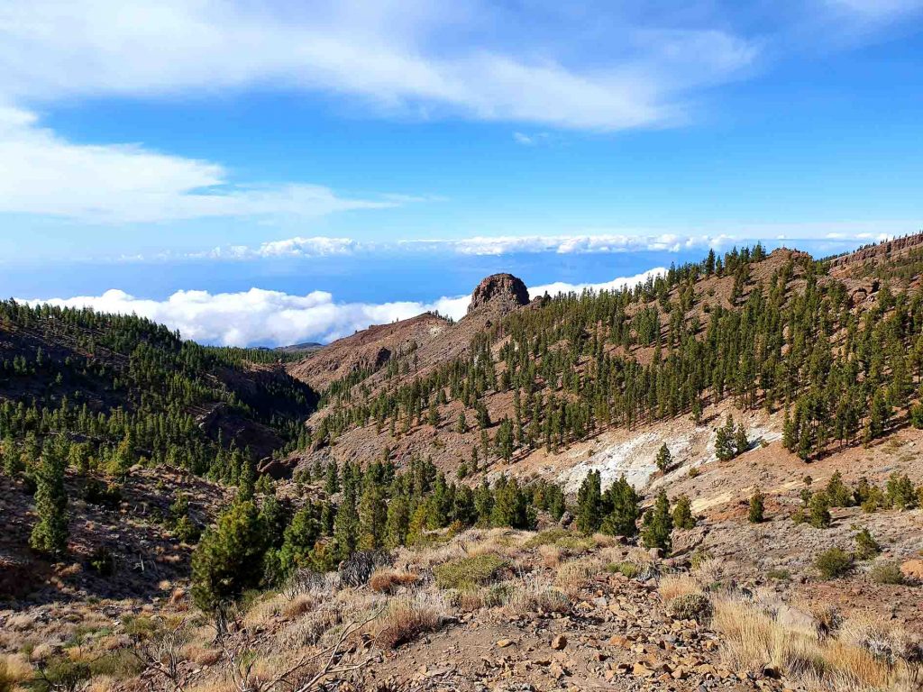 Teide Naturschutzgebiet