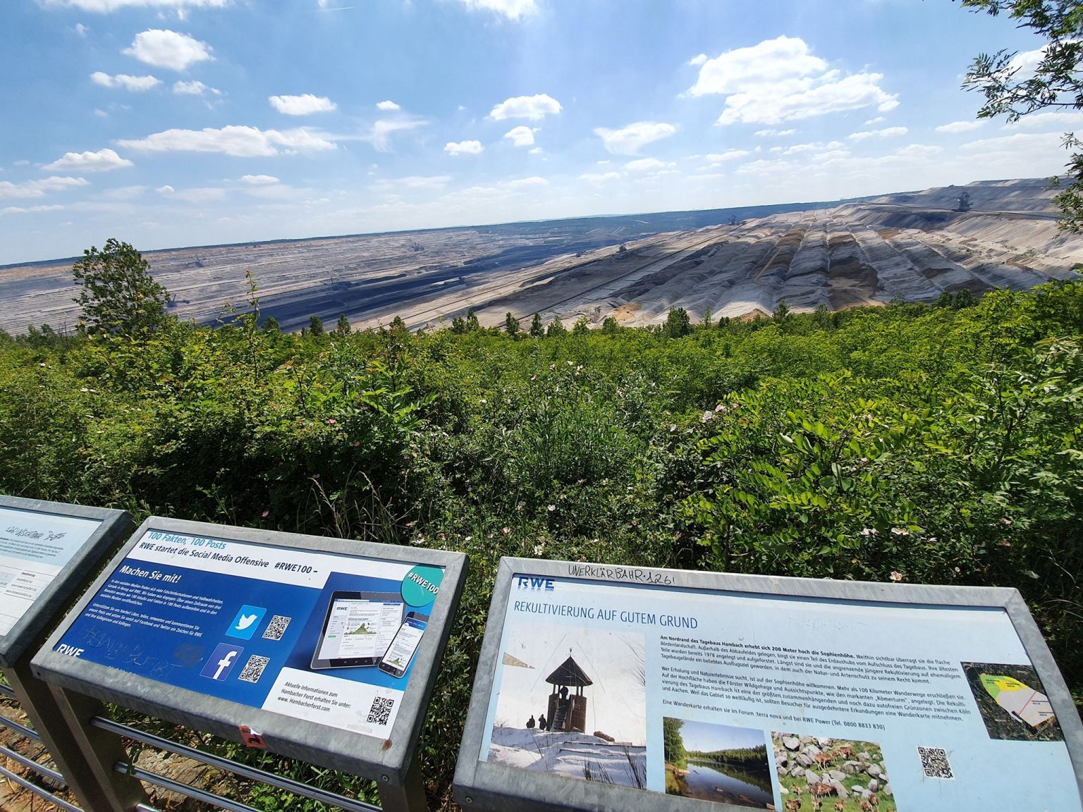 Hambacher Forst – Ein Blick auf Tagebau und Klimaschutz  Rheinischer 