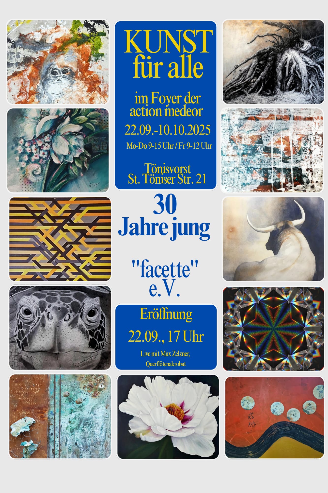 facette flyer - action medeor 2025