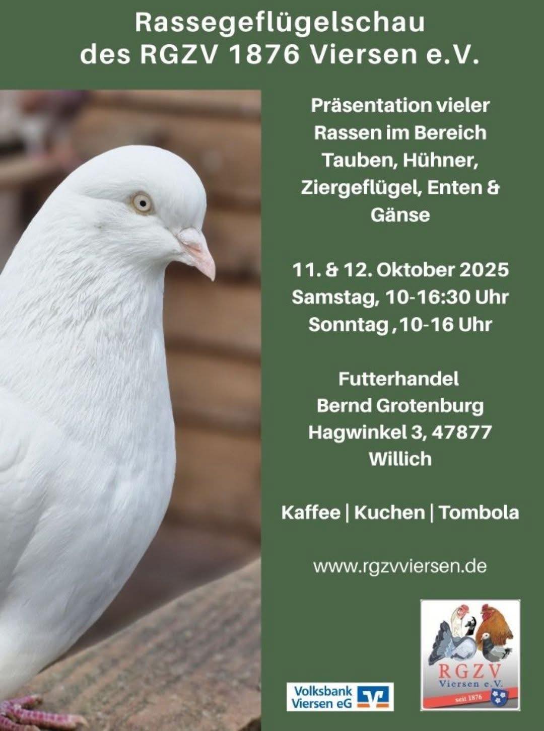 553653984_24833119506325912_6027973246794702943_n