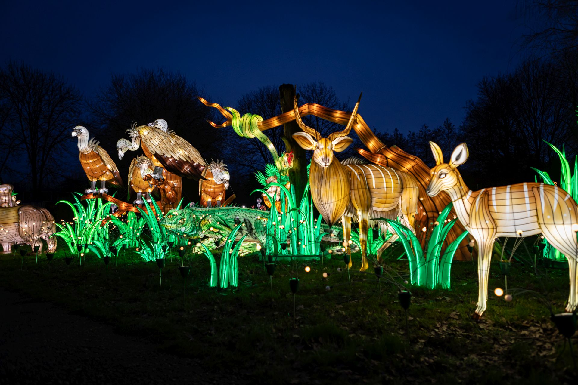 China lights_gymi media GmbH