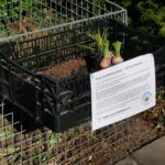 649996429_1248890577422834_962253630203668215_n