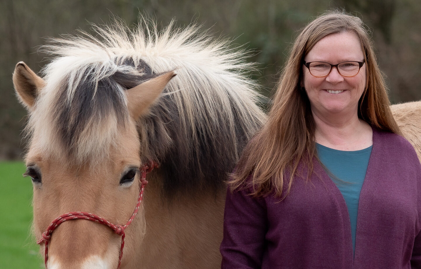 TherapiepferdNilssonundAngie