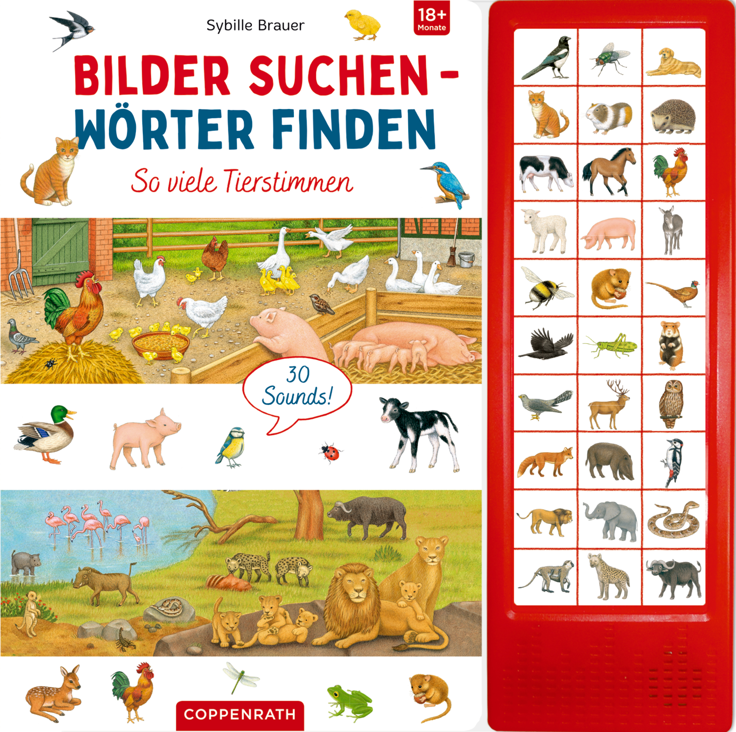 Klingeling und Grunz Grunz! Die perfekte Osterüberraschung für kleine Entdecker mar_img_t63520_2D