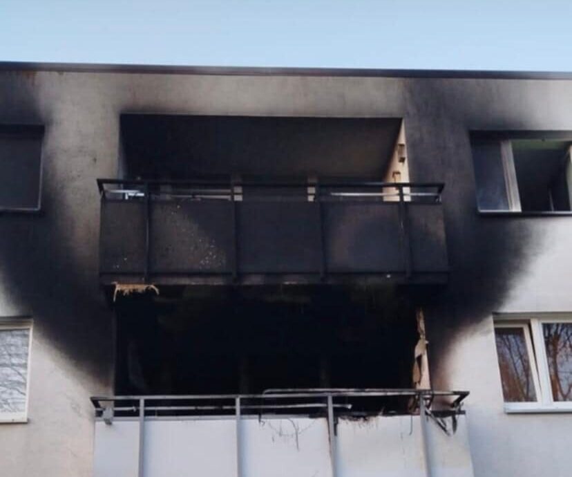 d294d0c4-41a9-4b31-915f-8cee4e2bded1