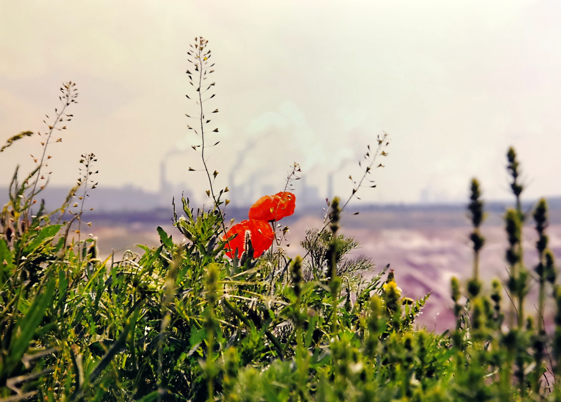 1-IMG_20250525_095754A