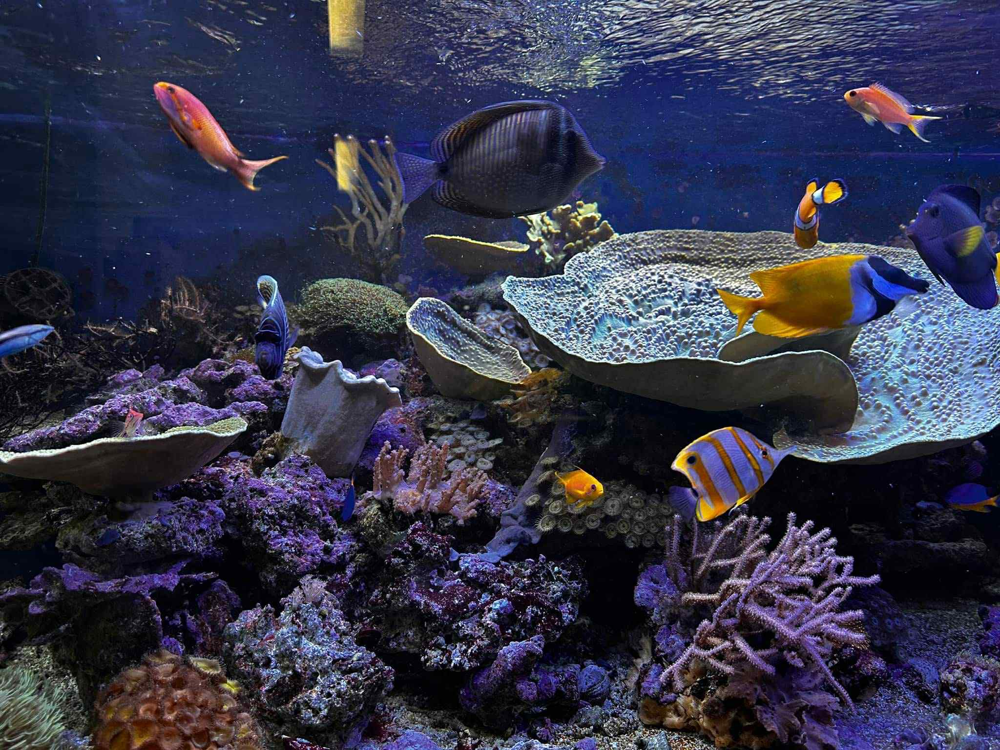 95c3ea5f-48fd-4855-9529-63497a88d770