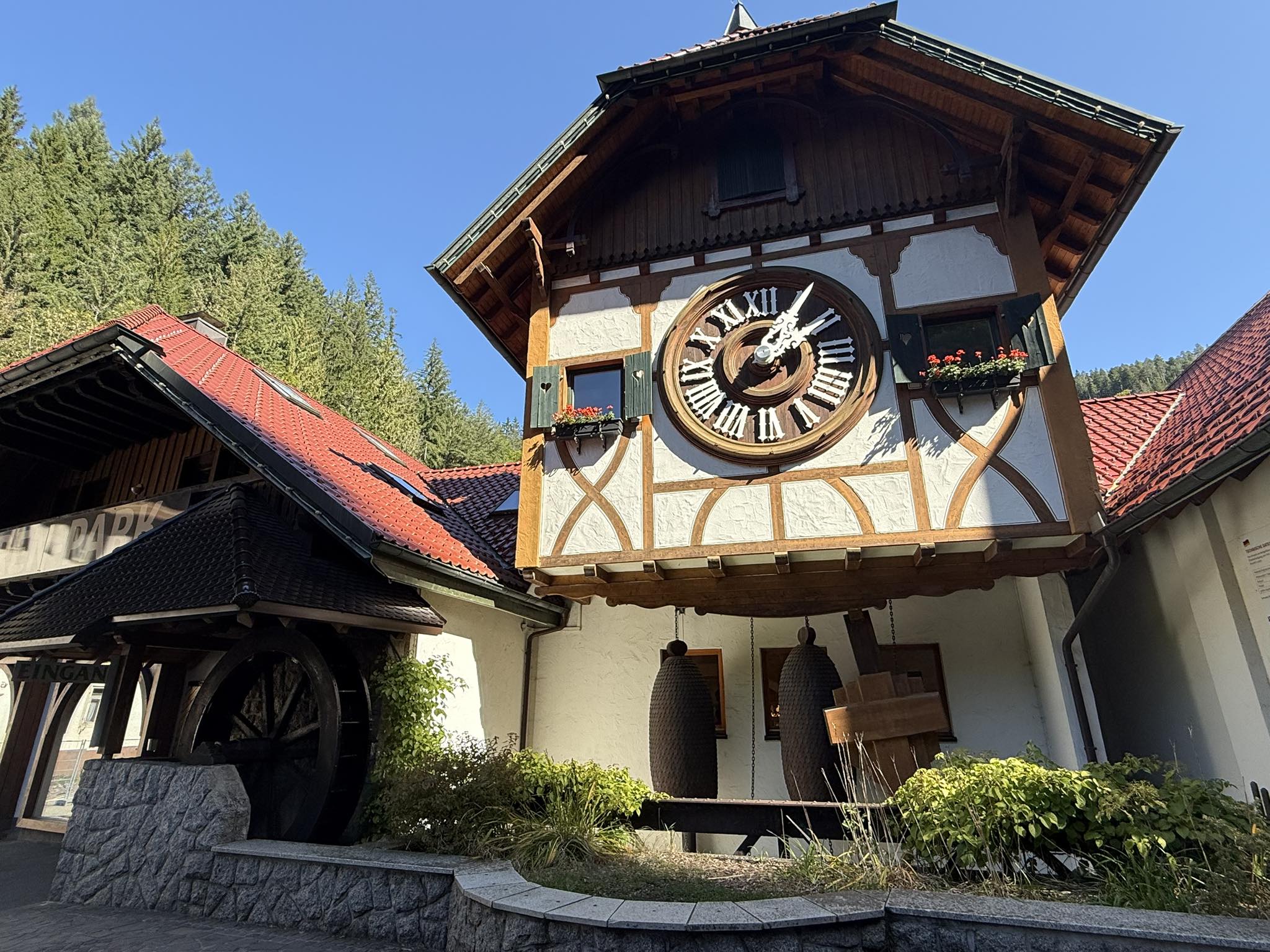 545846593_2018464785635830_169402683823668186_n