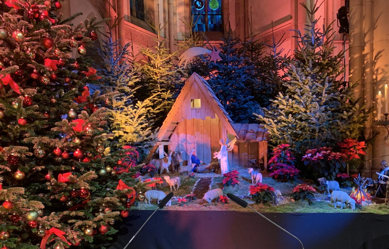 Literarisches: Weihnachten. Krippengeschichten IMG_3509