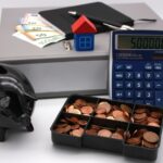 6846-rheinischer_spiegelde-image