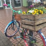 Bild-Nr. 760_2026-02_Brüggen Erblüht 2026_Burggemeinde Brüggen