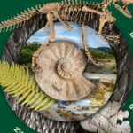 mhkbd-27.02.2026_anlage-munster