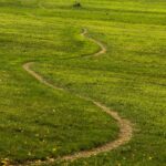 pexels-barbara-light-1526315707-34341625