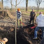 Neue Pappeln an der Niers 2026-03-04-pappelpflanzung_Bild_2_2160