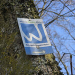 Naturparkschwalmnette