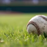 Rasen anpflanzen und die perfekte Pflege volzi-baseball-8507868