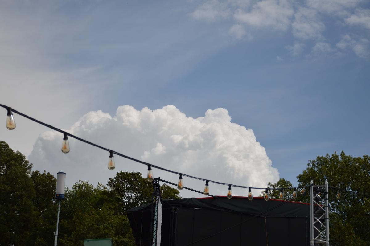 Da ist was im Busch-Samstag (3)